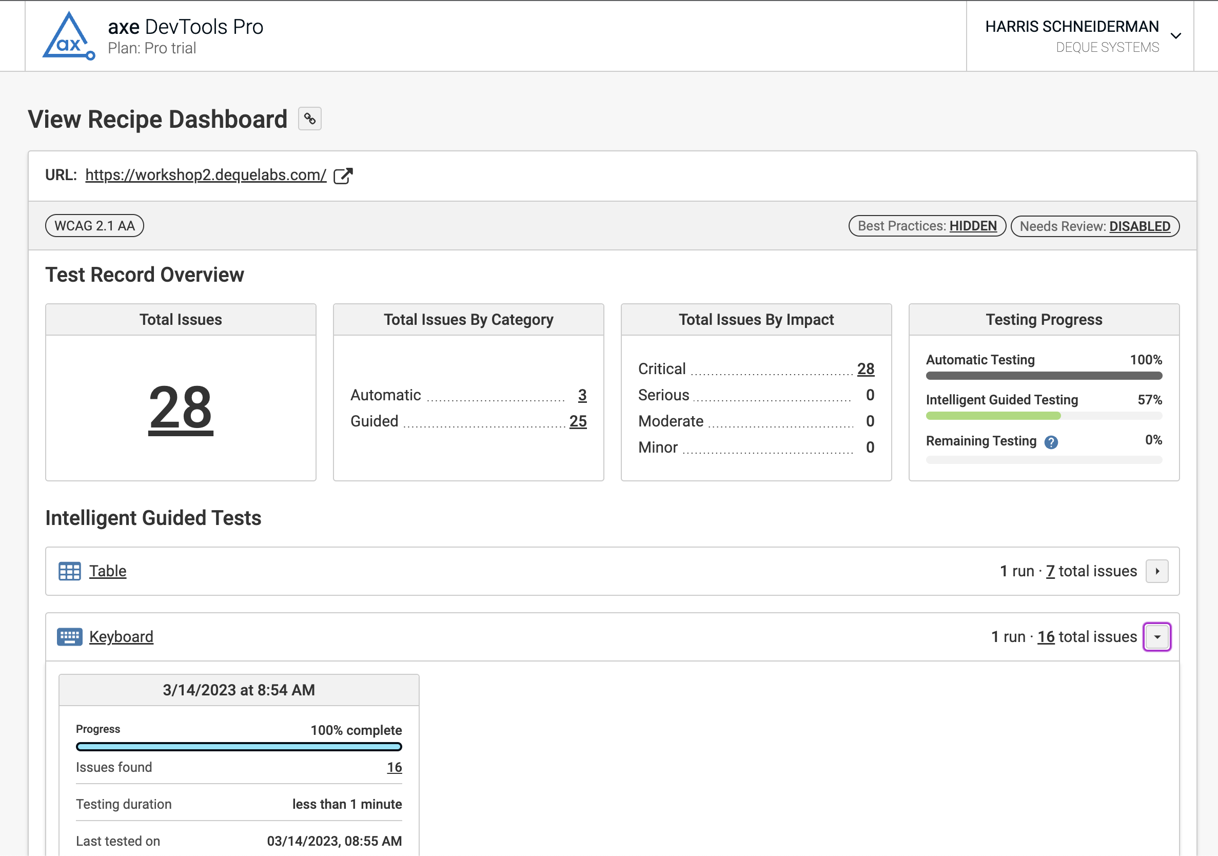 Screenshot of the the Share Test Record overview page which contains a breakdown of all testing done within a given saved test in the axe DevTools extension. This example shows 28 total critical accessibility issues (3 automatic and 25 from Guided tests).